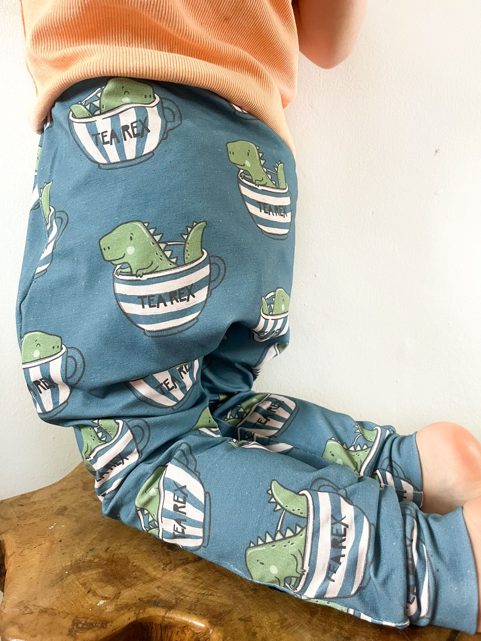 Close-up of toddler wearing dinosaur print harem pants labeled Tea Rex.