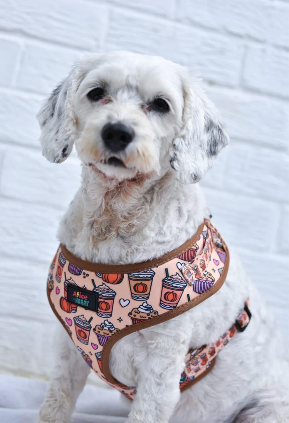 Pumpkin Spice Latte Adjustable Pet Harness