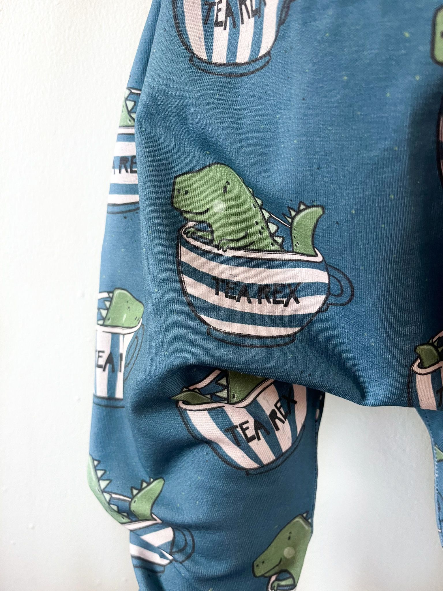 Close-up of toddler wearing dinosaur print harem pants labeled Tea Rex.