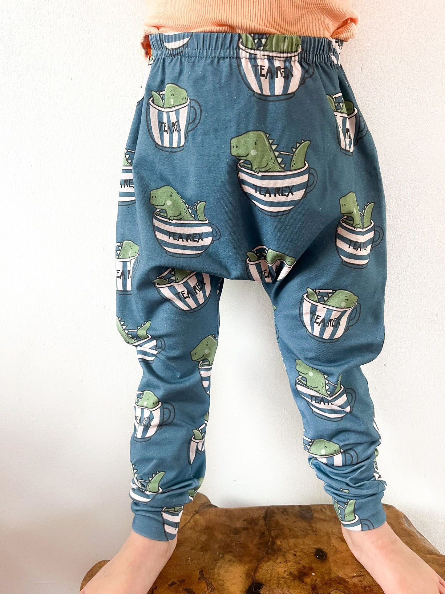 Close-up of toddler wearing dinosaur print harem pants labeled Tea Rex.
