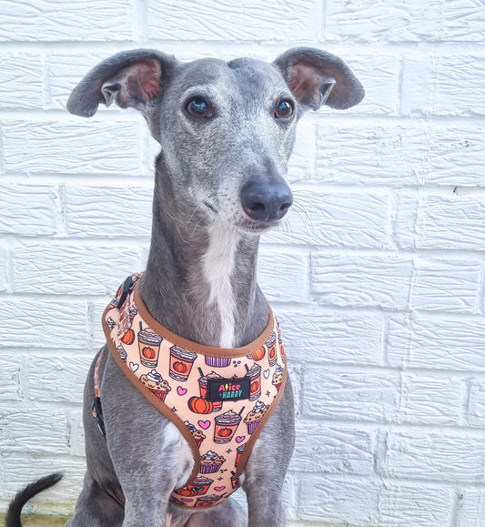 Pumpkin Spice Latte Adjustable Pet Harness
