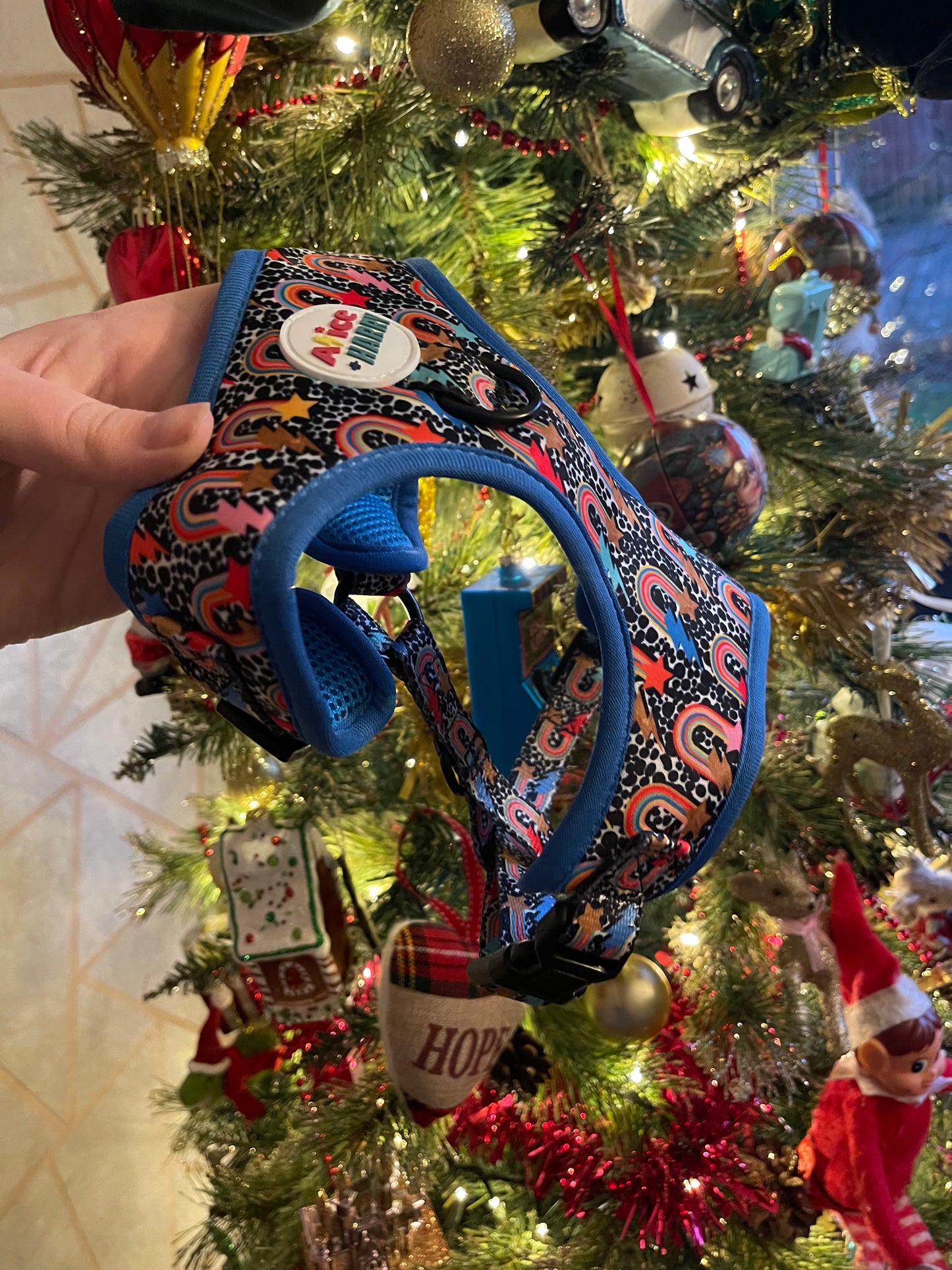 Bowie Rainbow Adjustable Pet Harness