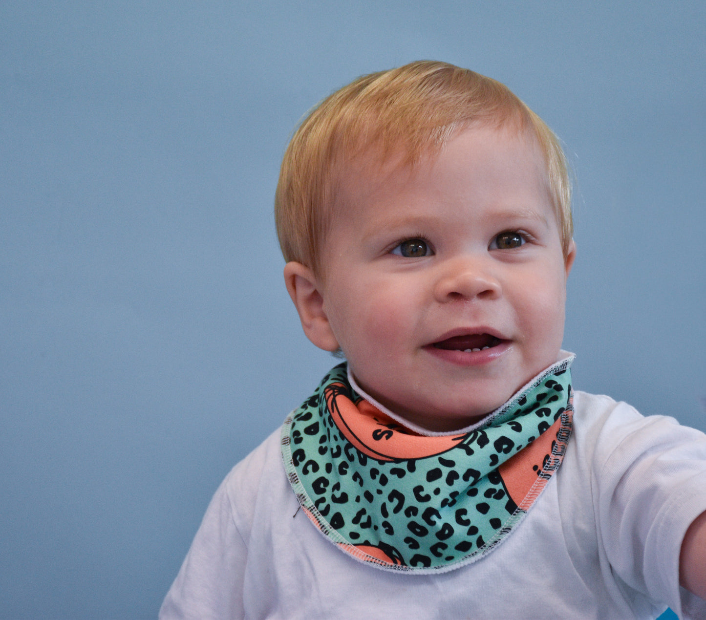 Jeepers Creepers Dribble Bibs