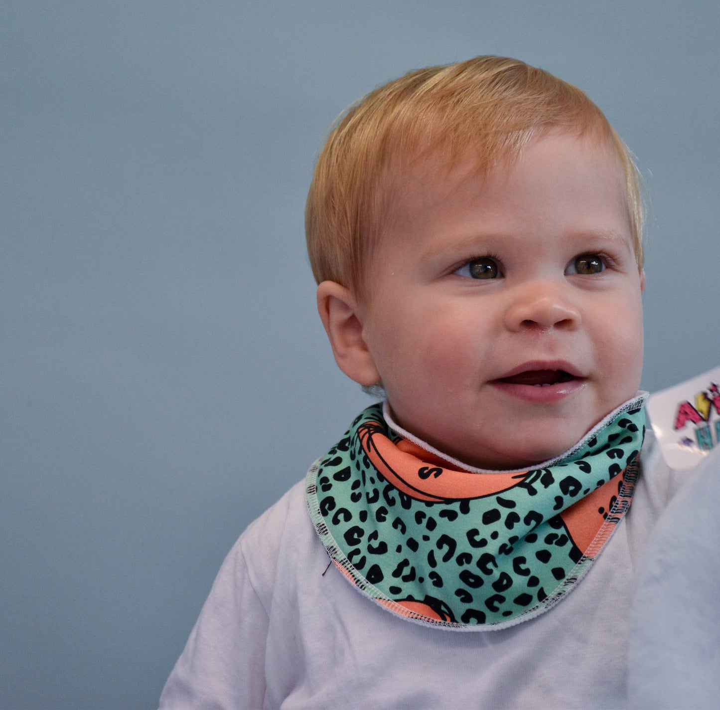 Jeepers Creepers Dribble Bibs