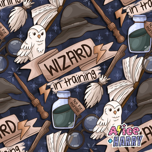 Wizard In Training Hair Accessories