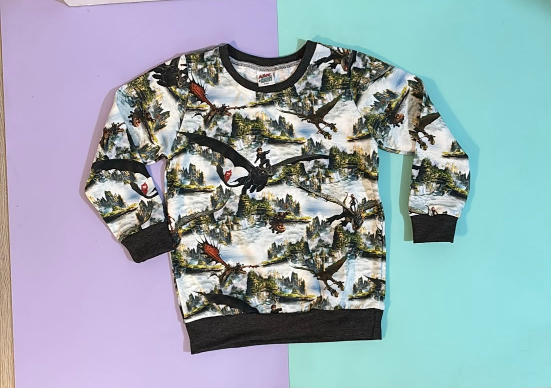 Pre Made Dragons Sweatshirt